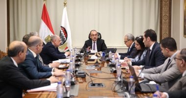 اجتماع وزير قطاع الأعمال مع الرؤساء التنفيذيين للشركات القابضة: الأهداف والدوافع الرئيسية