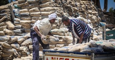 تحديث أسعار الأسمنت في مصر ليوم الأحد 2 نوفمبر 2025