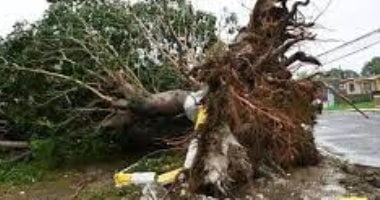 رئيس وزراء جامايكا: إعصار ميليسا يكبد الاقتصاد الوطني خسائر تقدر بثلث قيمته