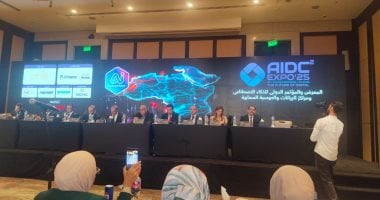 رومانى حافظ: الذكاء الاصطناعى كضرورة استراتيجية في استثمارات البنوك التكنولوجية