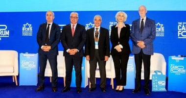 مساعد وزير الاستثمار: مصر تستثمر في الفرص الناشئة رغم التحديات العالمية