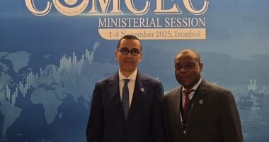 مصر تعزز التجارة البينية بين دول المجموعة كجزء من استراتيجيتها الاقتصادية