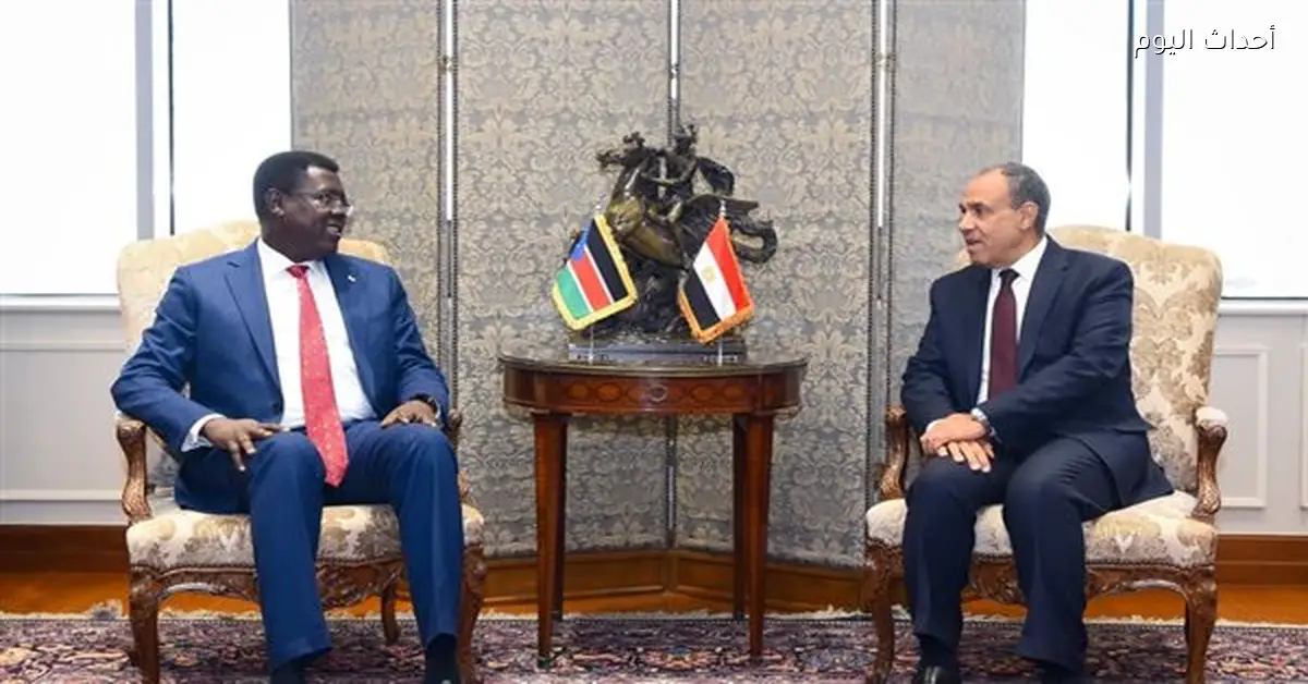 بدر عبدالعاطي يجري محادثات مع وزير خارجية جنوب السودان
