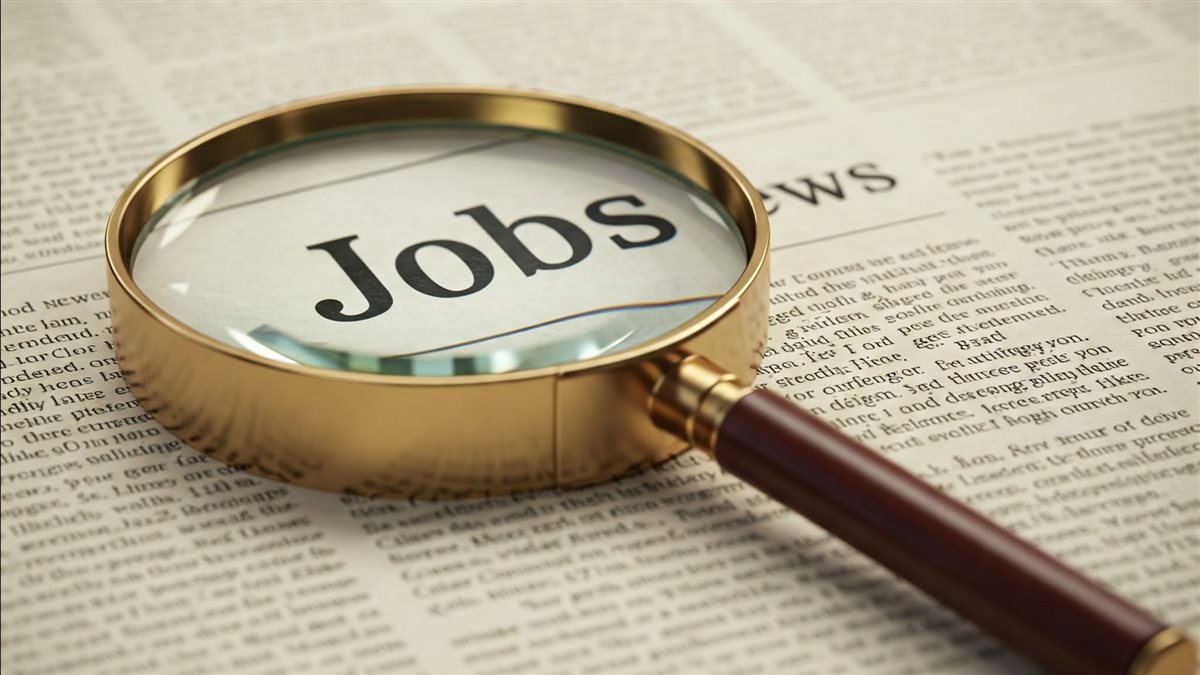 تفاصيل 432 فرصة عمل في المعادي الجديدة