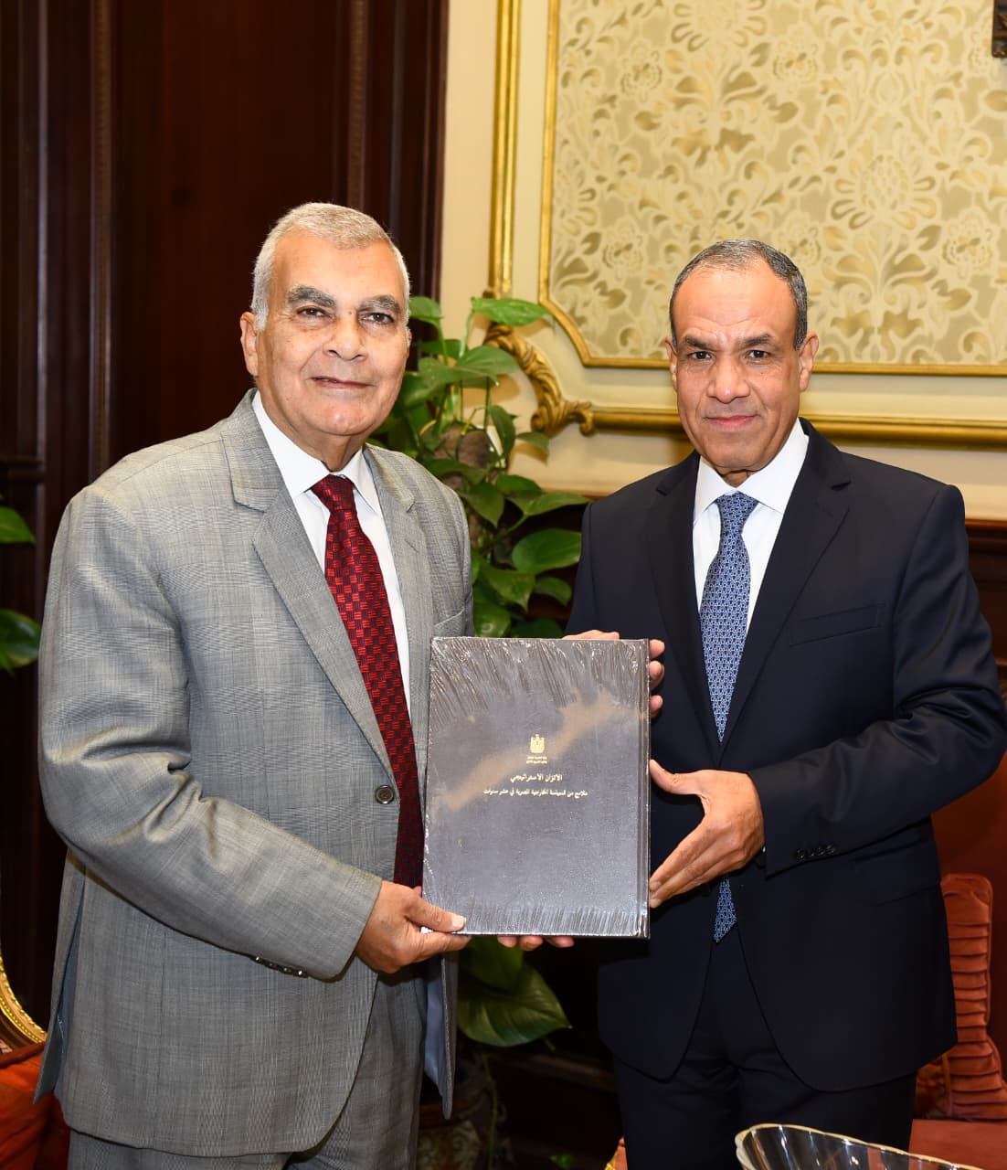 لقاء وزير الخارجية مع رئيس مجلس الشيوخ