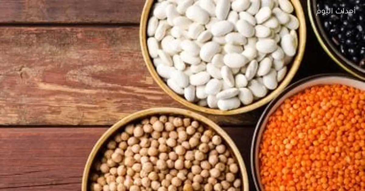 أسعار البقوليات في كفر الشيخ اليوم الاثنين 22 ديسمبر 2025