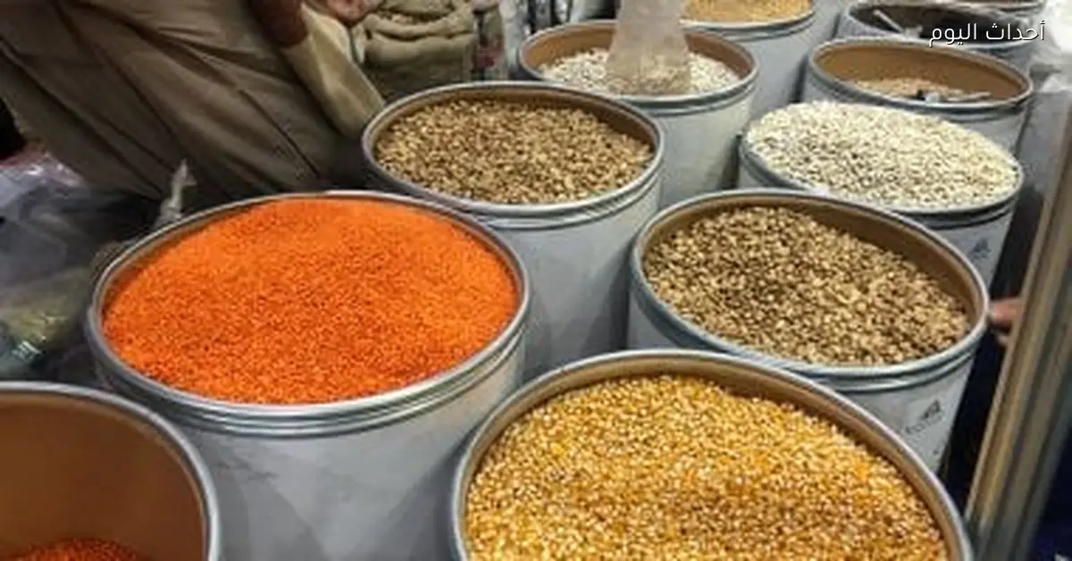 أسعار البقوليات في كفر الشيخ اليوم السبت 20 ديسمبر 2025