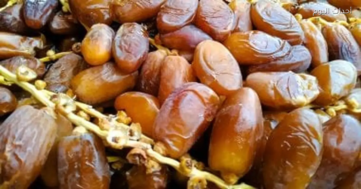 أسعار البلح في أسواق مطروح اليوم 14 ديسمبر 2025 تصل 50 جنيه