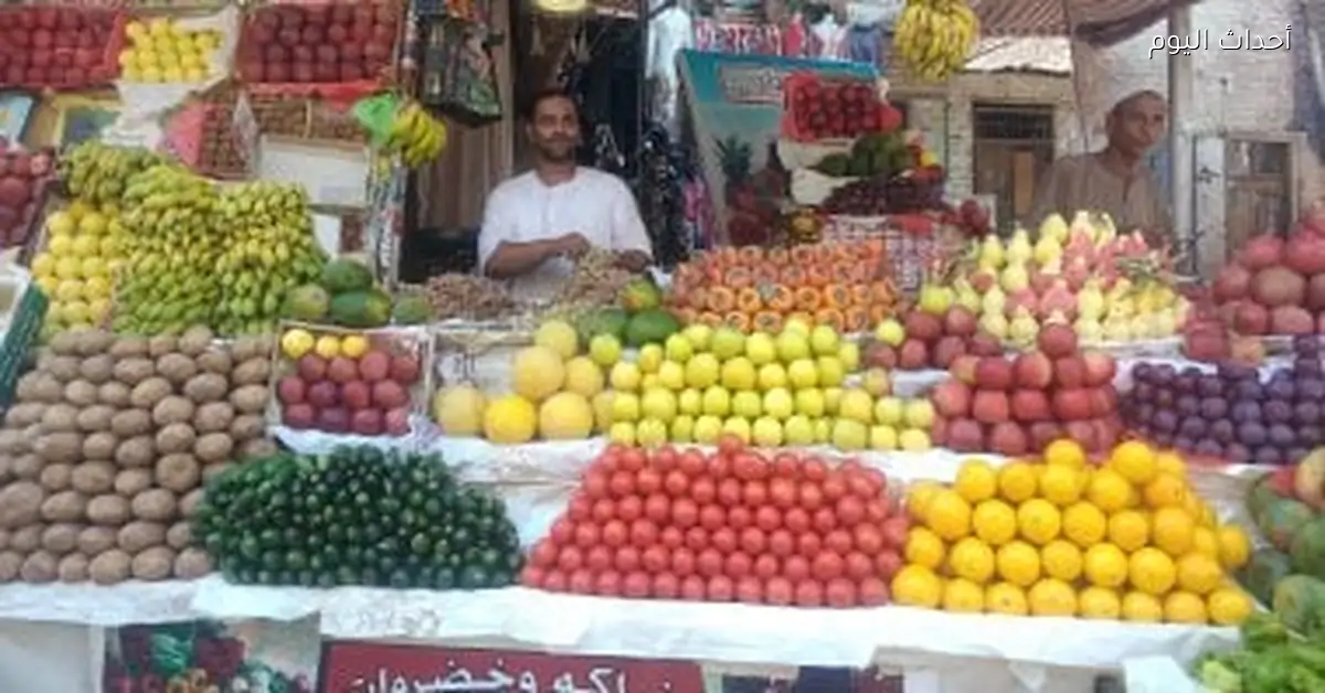 أسعار الخضار والفاكهة في المنوفية اليوم الأحد 28 ديسمبر 2025