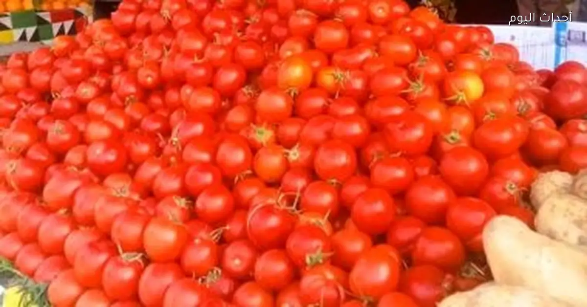 أسعار الخضراوات في أسواق الأقصر اليوم: الطماطم 5 جنيهات والبطاطس 7 جنيهات