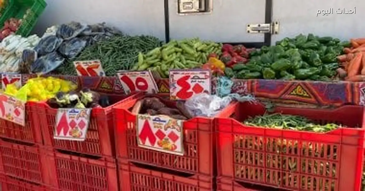 أسعار الخضراوات في أسواق مطروح اليوم السبت 20 ديسمبر 2025
