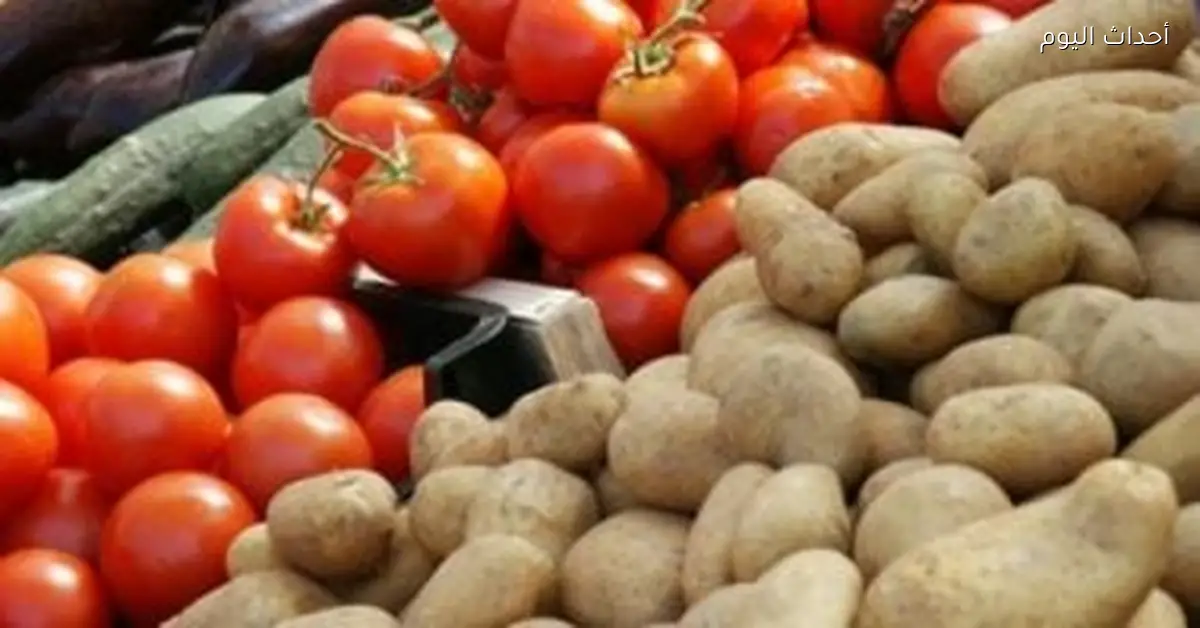 أسعار الخضراوات والفاكهة في كفر الشيخ اليوم 22 ديسمبر 2025