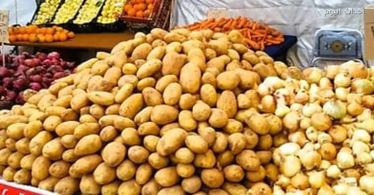 أسعار الخضروات والفاكهة في كفر الشيخ اليوم 17 ديسمبر 2025