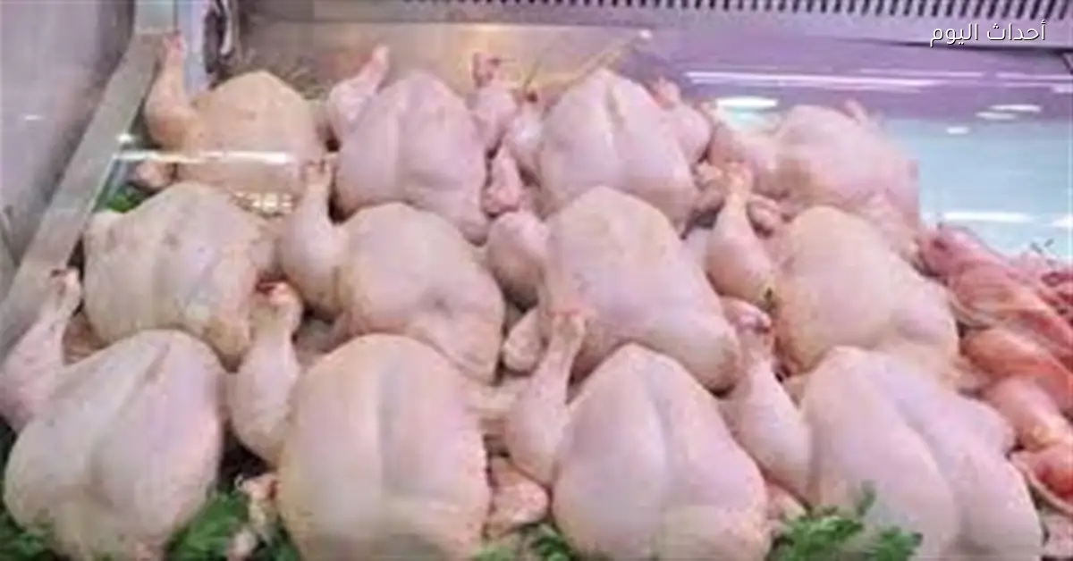 أسعار الدواجن اليوم السبت 20 ديسمبر 2025
