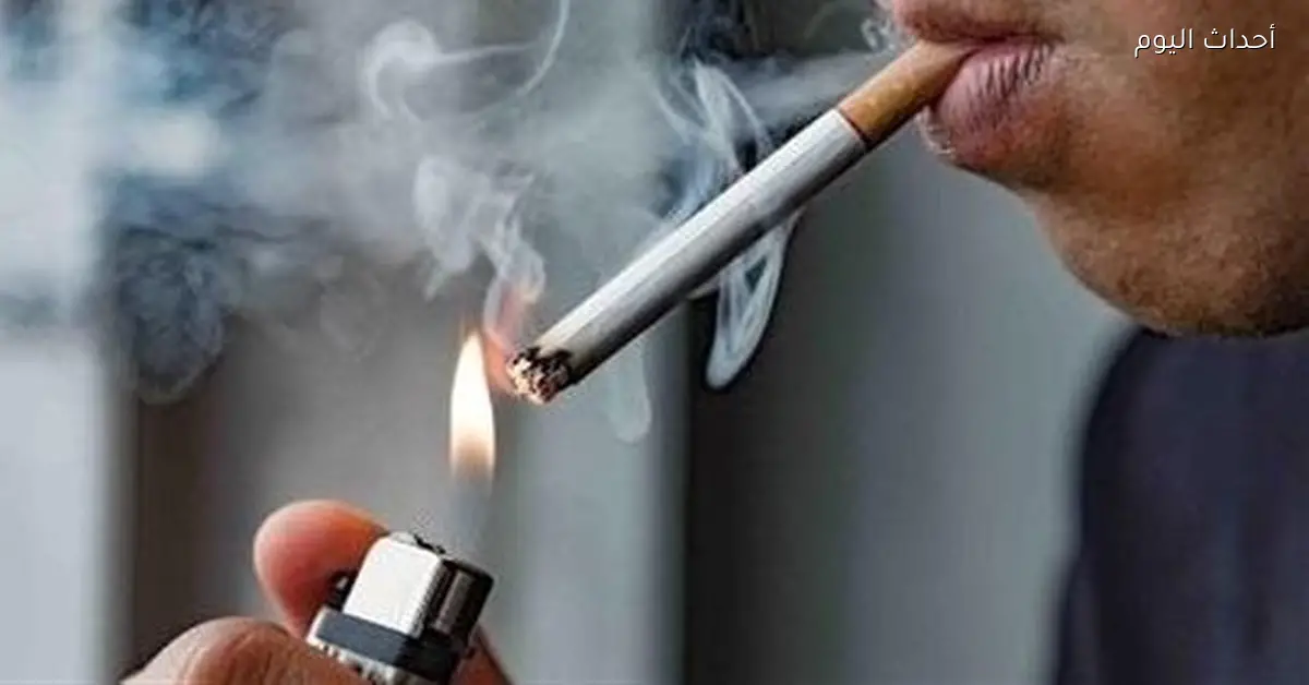 أسعار السجائر في السوق المصرية اليوم الجمعة 26 ديسمبر 2025