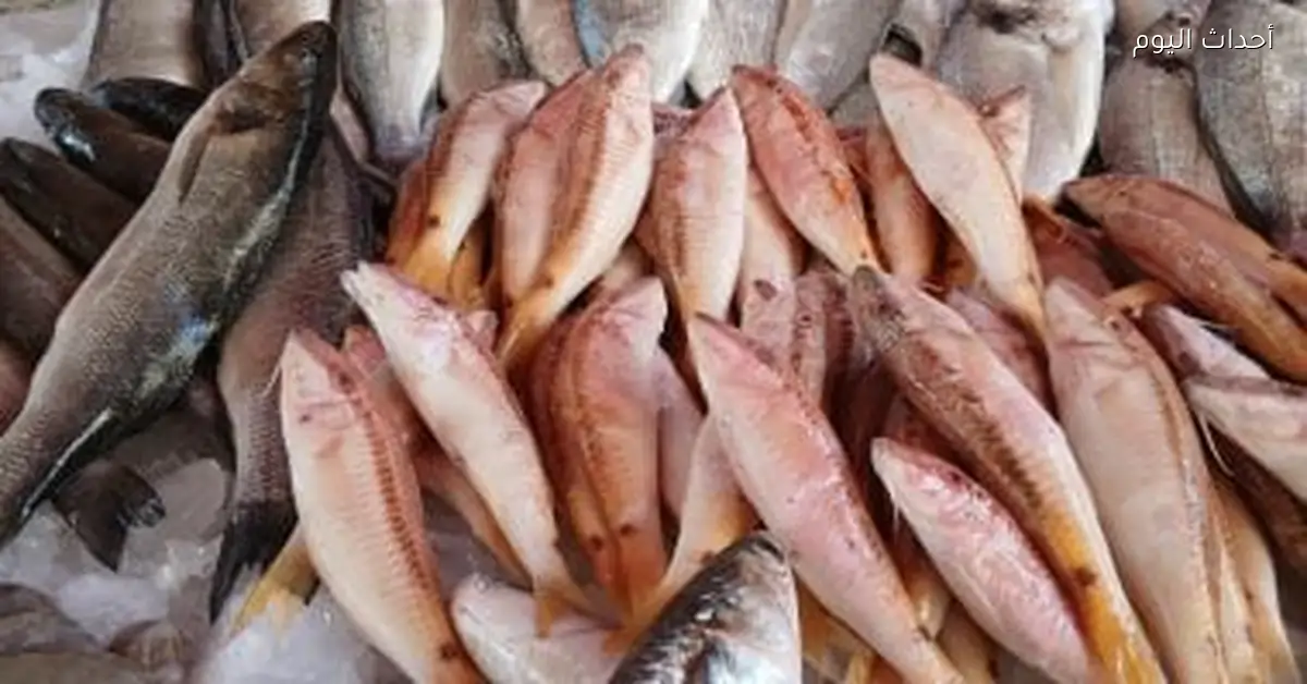 أسعار السمك في القليوبية اليوم الأربعاء 24 ديسمبر 2025