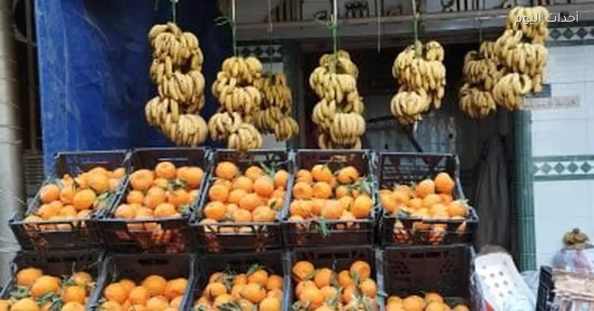 أسعار الفاكهة في أسواق مطروح اليوم 22 ديسمبر 2025 الجوافة 25 جنيها