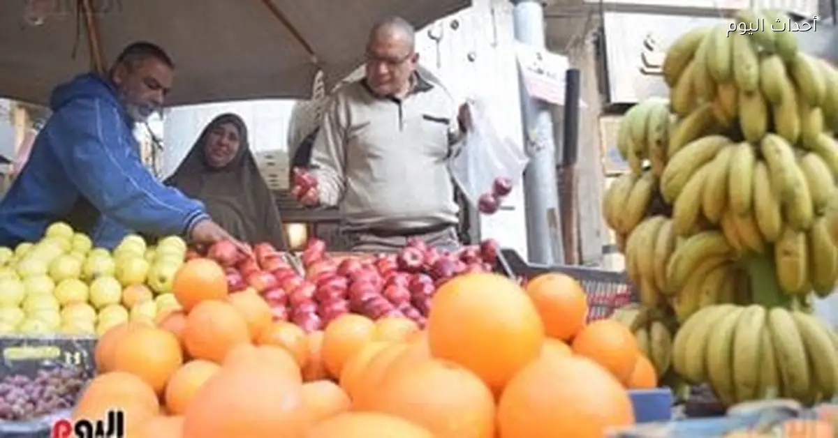 أسعار الفاكهة في أسواق مطروح اليوم الأربعاء 31 ديسمبر 2025