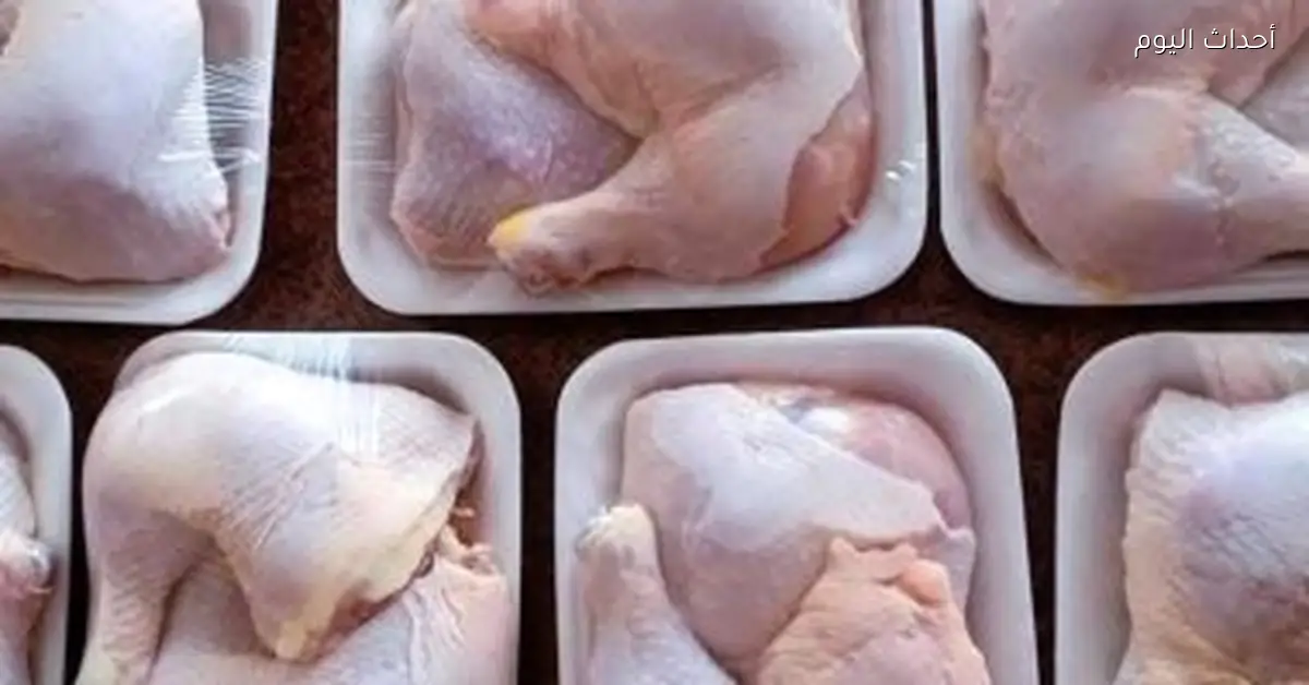 أسعار الفراخ في أسواق مطروح اليوم 14 ديسمبر 2025 تصل إلى 60 جنيها