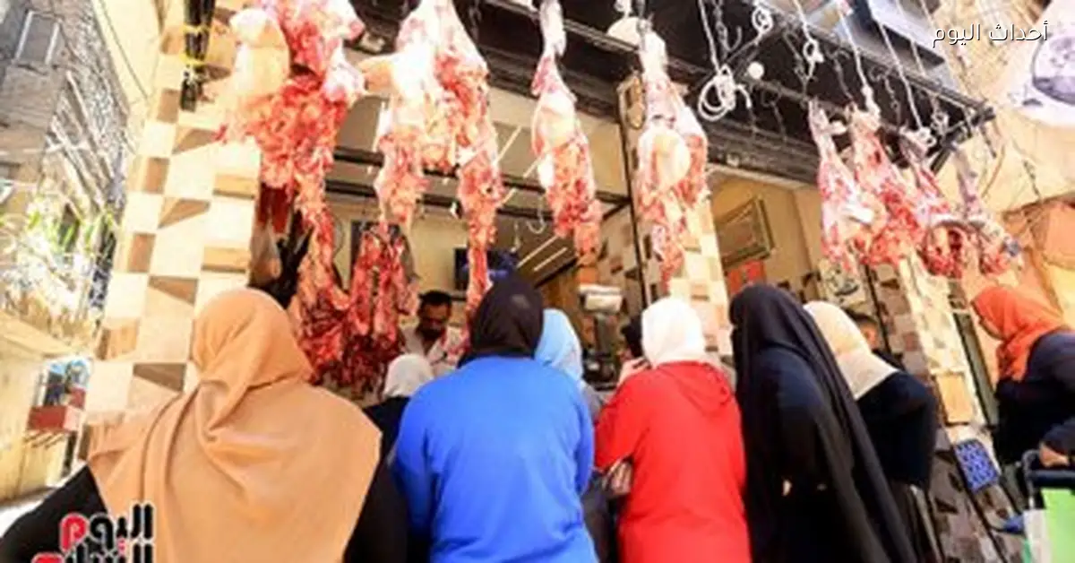 أسعار اللحوم البلدي في أسواق قنا اليوم الثلاثاء تواصل الارتفاع