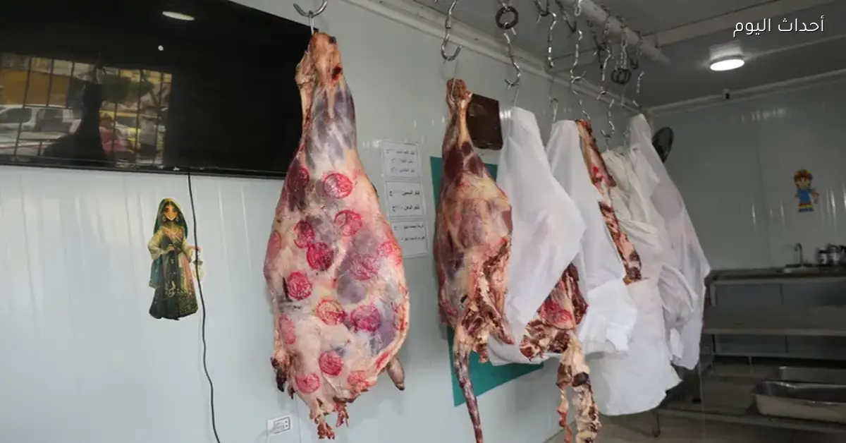 أسعار اللحوم اليوم الإثنين 15 ديسمبر 2025