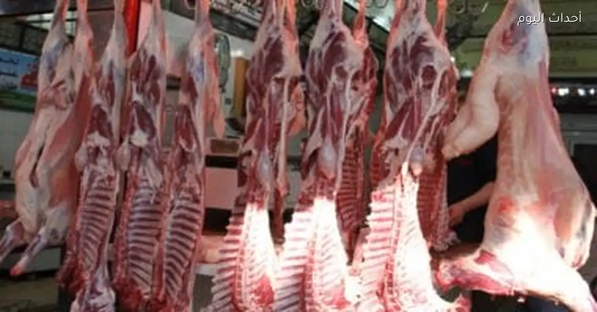 أسعار اللحوم في كفر الشيخ تسجل 240 جنيها للكيلو