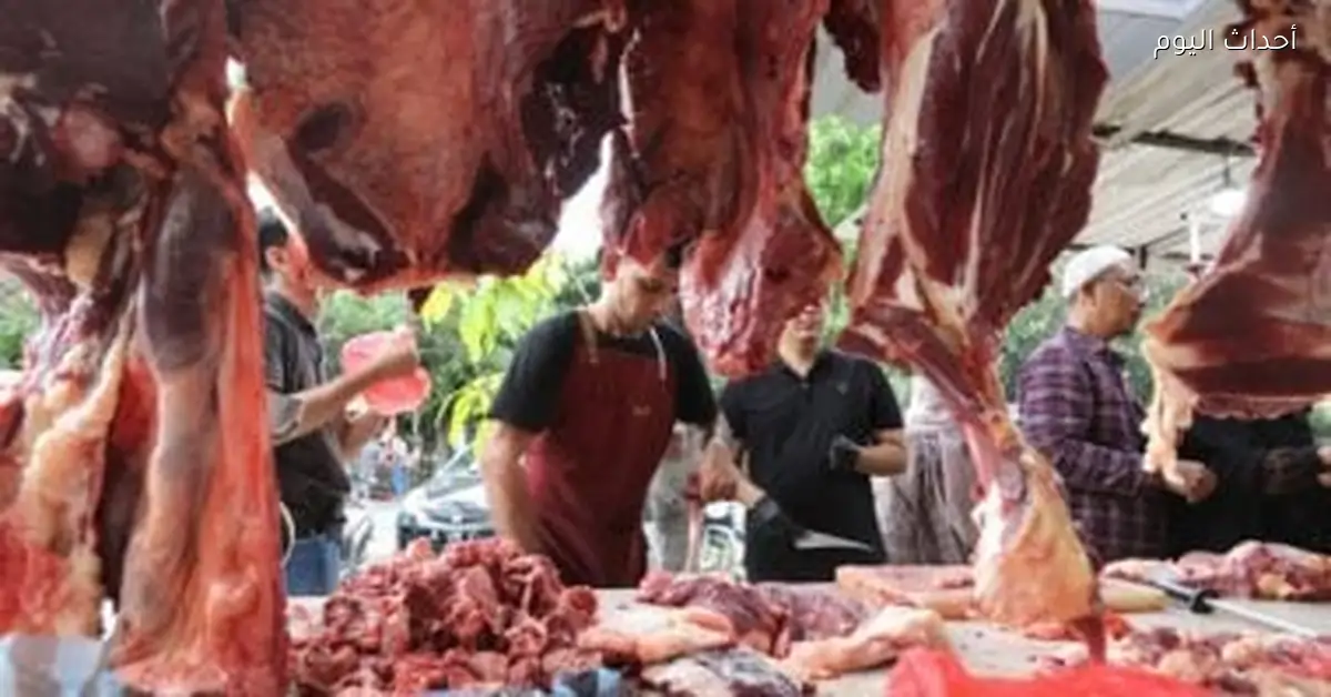 أسعار اللحوم في كفر الشيخ تصل إلى 220 جنيها اليوم