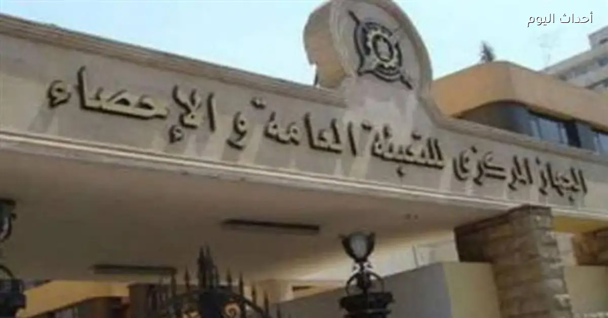 إحصاءات: 98 ألف مهندس ومحام ضمن العمالة غير المنتظمة في مصر