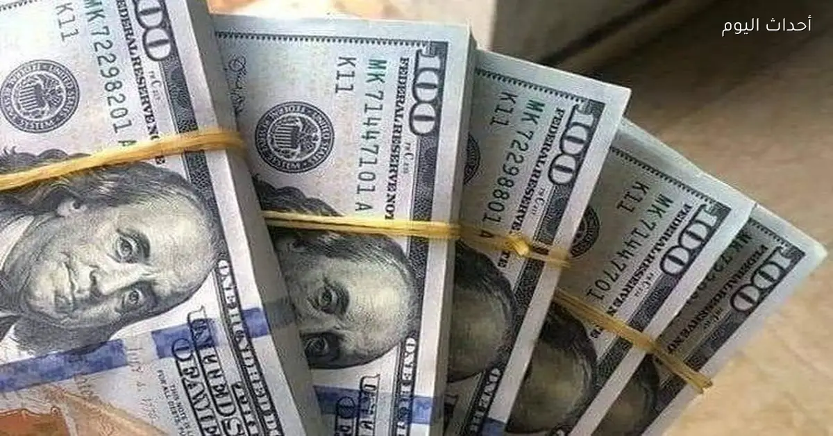 استقرار سعر الدولار مقابل الجنيه وتراجع العملة الأمريكية 6.24% منذ بداية العام
