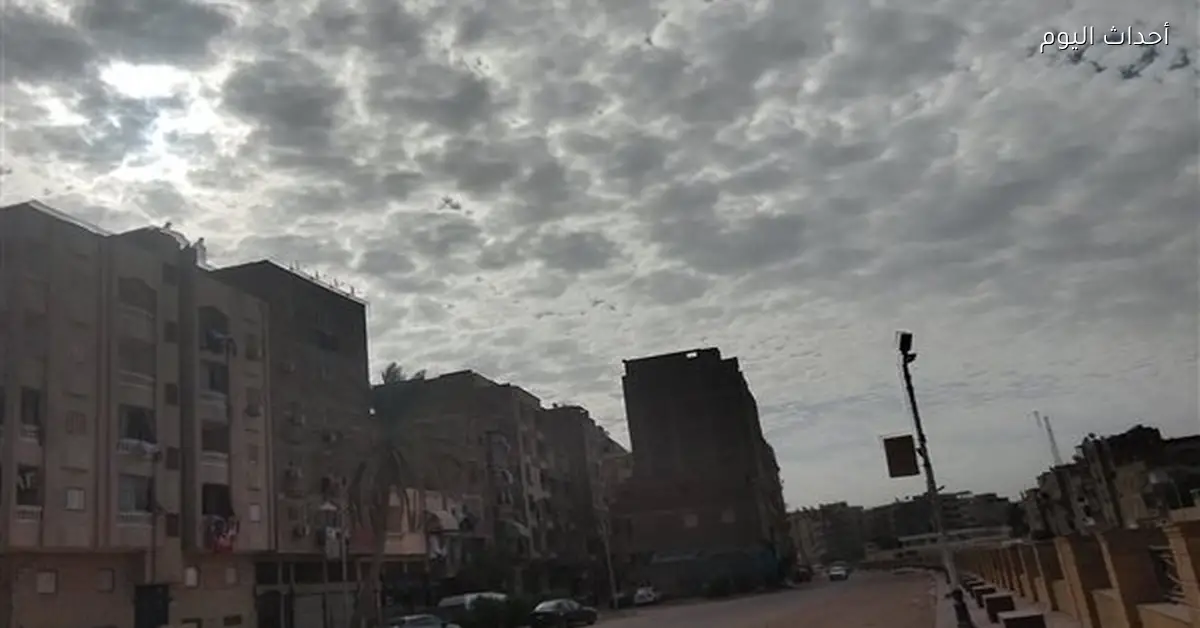 الأرصاد تحذر من شبورة صباحاً وبرودة ليلاً في السويس