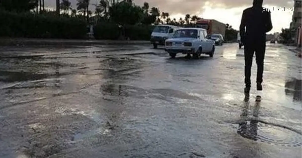 الأرصاد تكشف عن توقعات الطقس في مصر غدًا الخميس 25 ديسمبر 2025