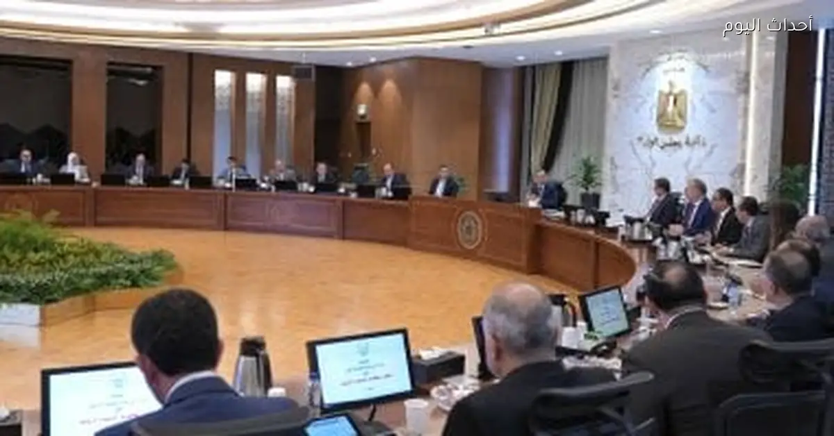 الحكومة تصدر تشريع لحماية المطورين الجادين ومحاسبة غير الجادين