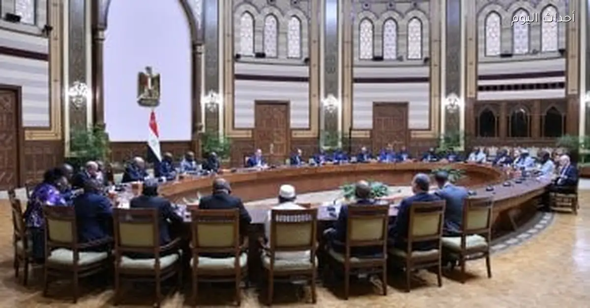 الرئيس السيسي يحدد 5 محاور للرؤية المصرية للتنمية في أفريقيا