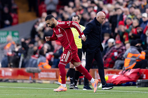 ليفربول ضد برايتون