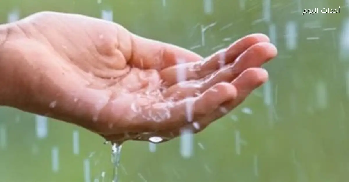 حالة الطقس اليوم الأربعاء 17 ديسمبر 2025 برودة وأمطار ورياح في مصر