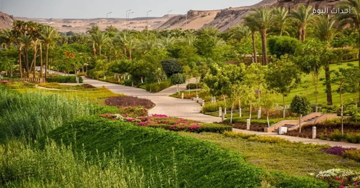 حلول مؤقتة لضمان مياه ري المسطحات الخضراء في ChillOut Park