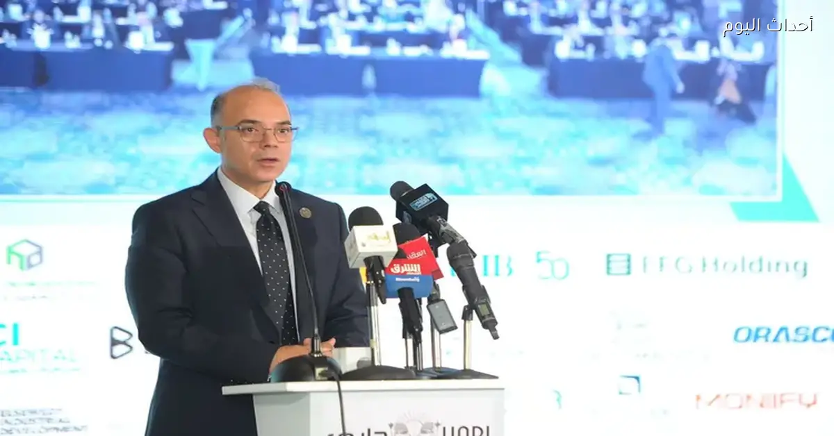 رئيس الرقابة المالية: زيادة عدد صناديق الاستثمار وحجمها في السوق المصري