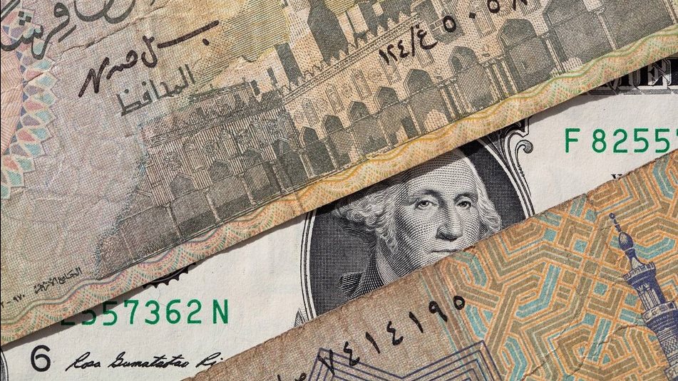 سعر الدولار اليوم 