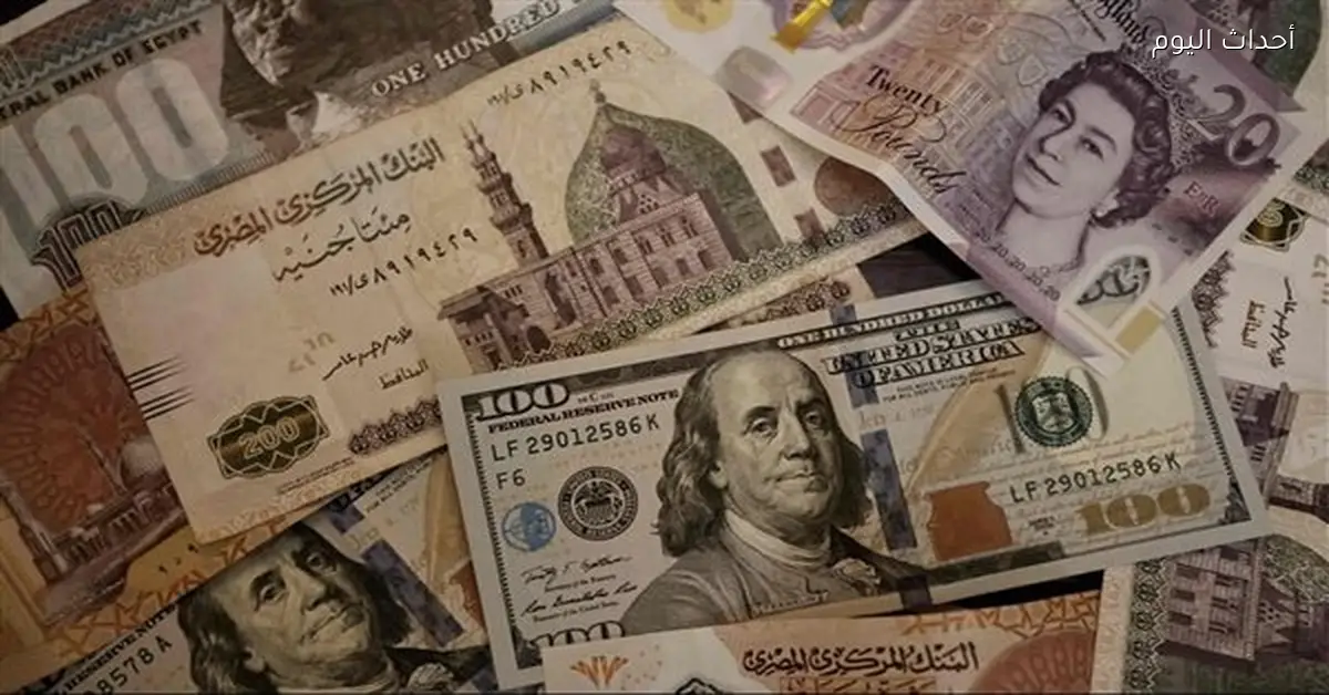 سعر الدولار يستقر أمام الجنيه المصري في بداية تعاملات اليوم بالبنوك