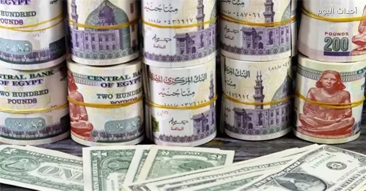 سعر الدولار يستقر عند 47.78 في بداية تعاملات الثلاثاء