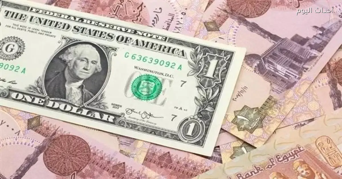 سعر الدولار يستقر في نهاية تعاملات الجمعة 12 ديسمبر 2025