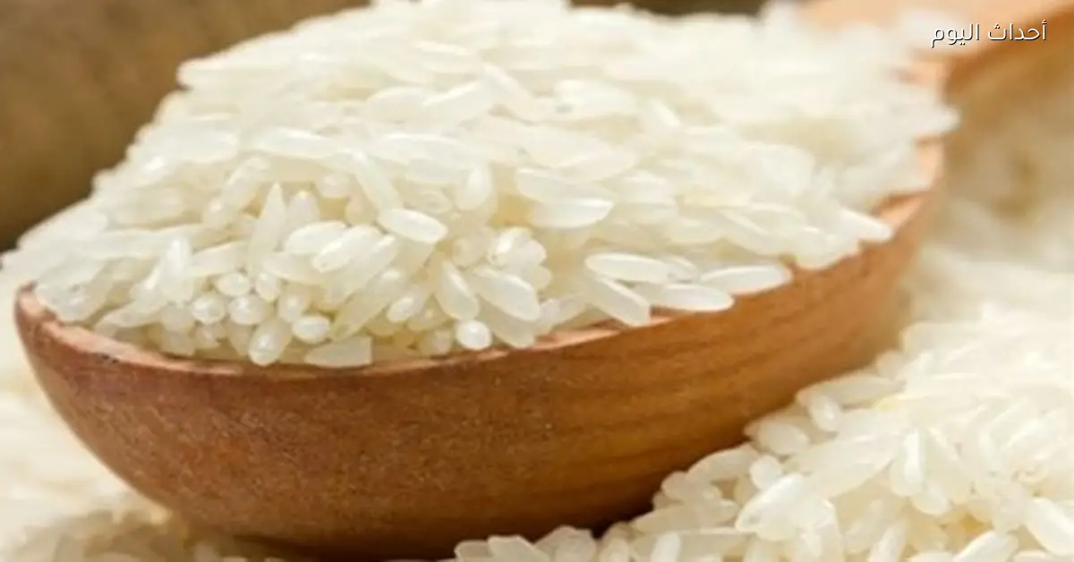 سعر طن الأرز الشعير اليوم للمزارعين والموردين الأحد 21 ديسمبر 2025