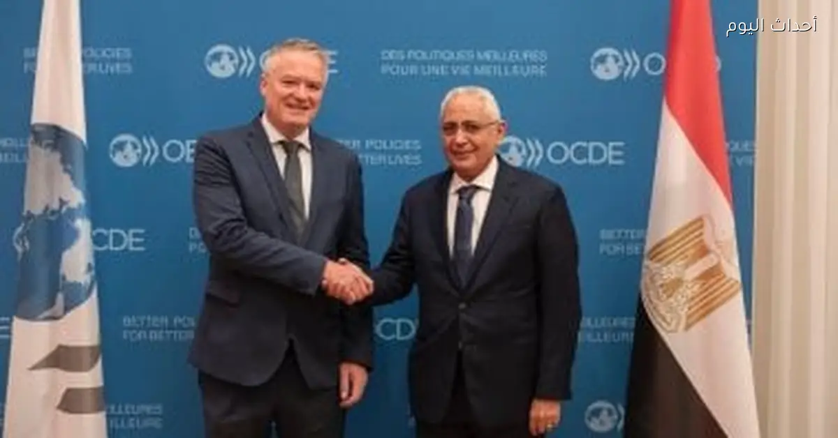 سفير مصر في باريس يلتقي السكرتير العام لمنظمة التعاون الاقتصادي والتنمية