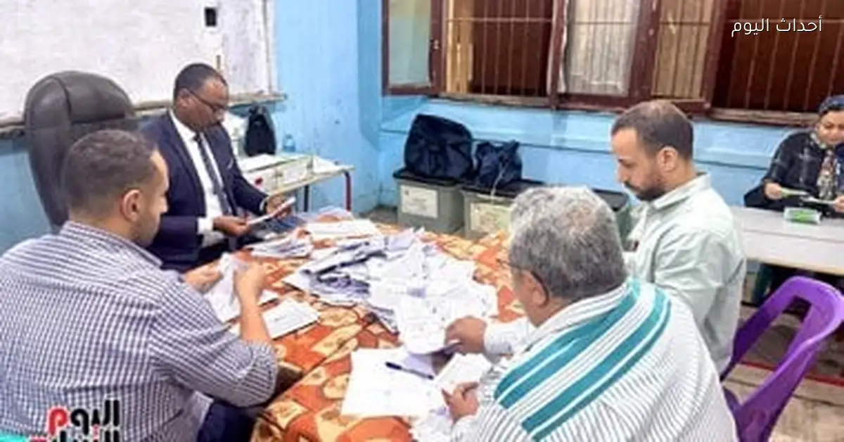 فرز الأصوات بعد انتهاء جولة إعادة انتخابات النواب في 19 دائرة ملغاة