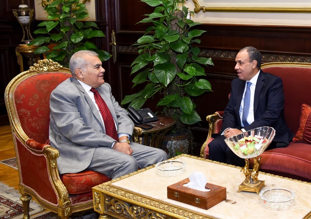 لقاء وزير الخارجية مع رئيس مجلس الشيوخ