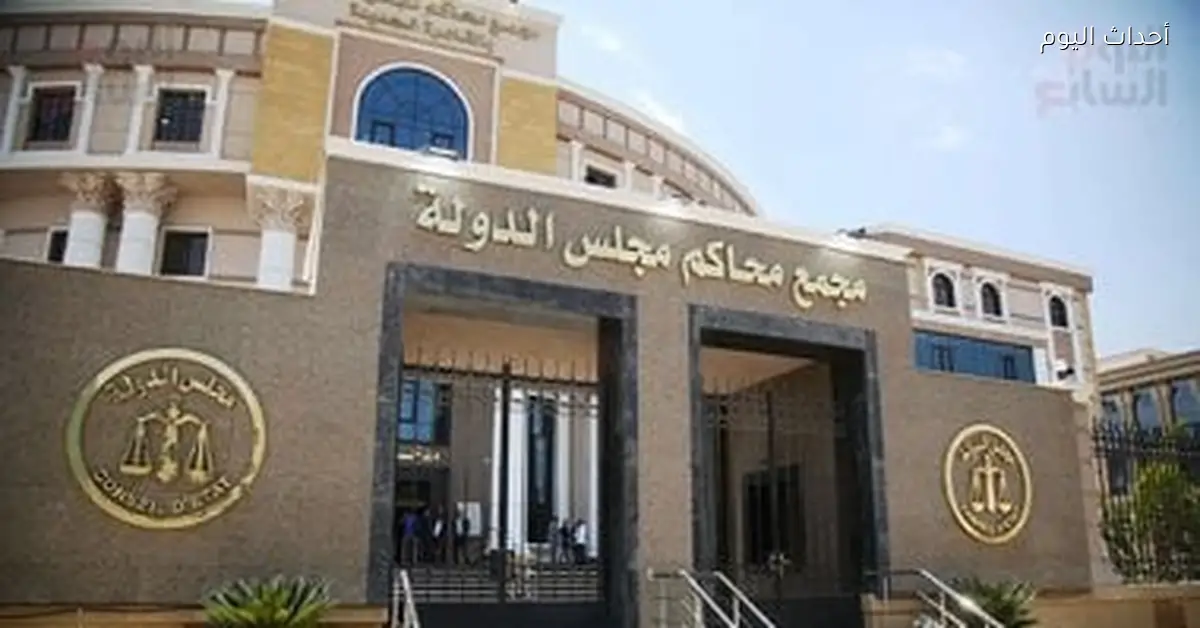 مجلس الدولة يبدأ استقبال طلبات تعيين مندوب مساعد دفعة 2024 من 20 ديسمبر