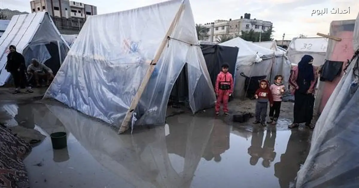 مدير الإغاثة الطبية في غزة يحذر من خطر وباء جديد