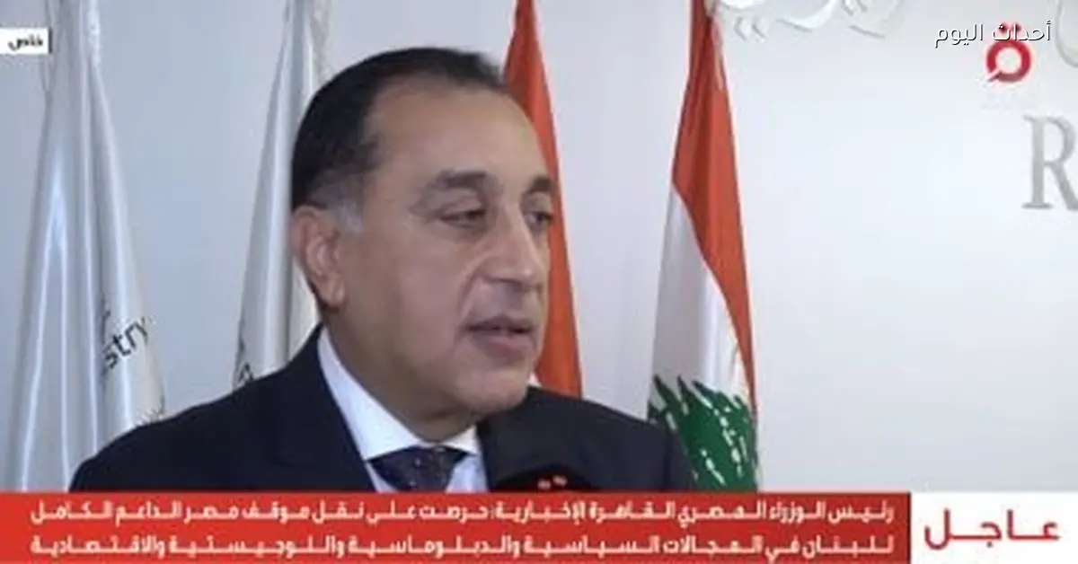 مصر تؤكد دعمها للبنان وتنفيذ القرار 1701