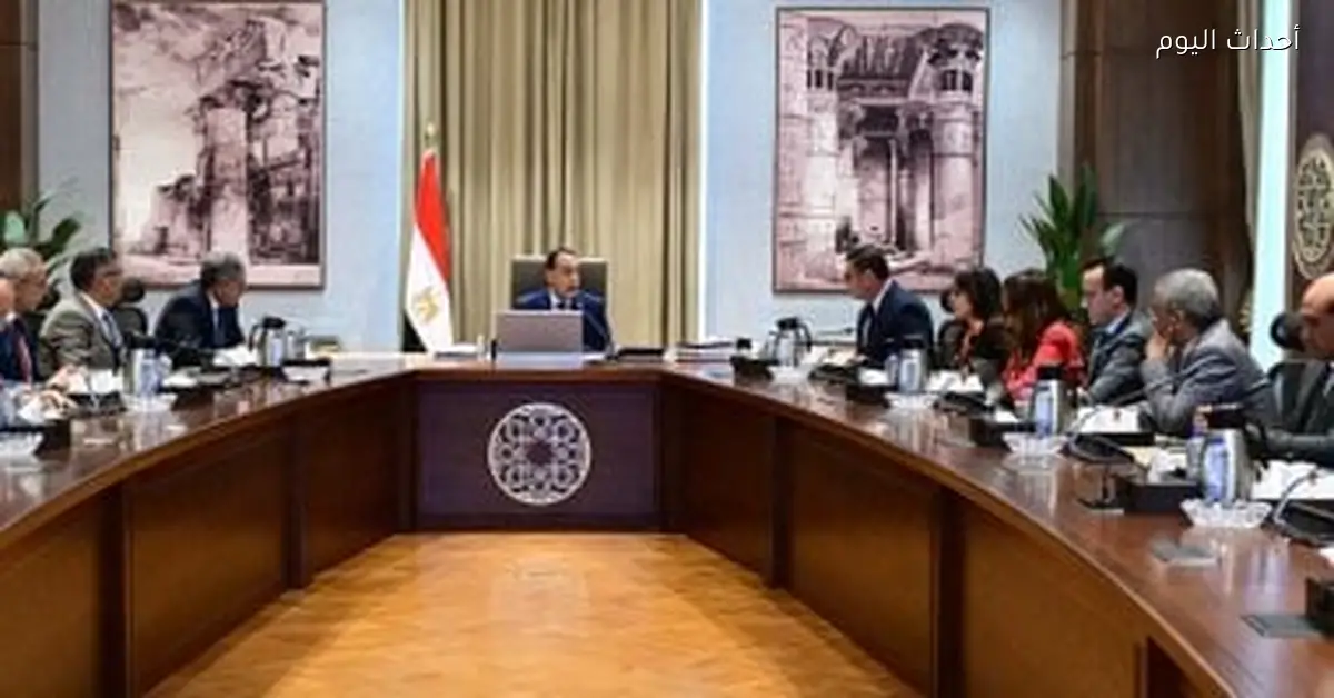 مصر تلغي 4 هيئات اقتصادية وتدمج 7 وتحول 9 لهيئات عامة