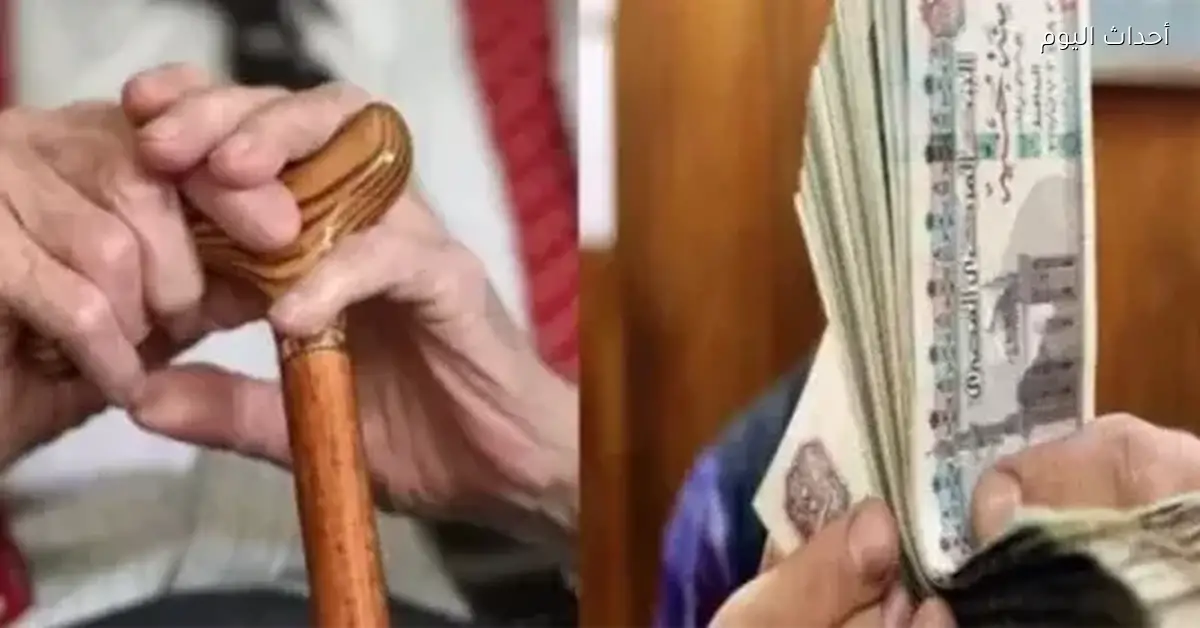 معاشات يناير 2026 أماكن الصرف وخطوات الاستعلام للمستفيدين